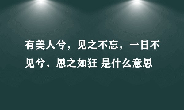 有美人兮，见之不忘，一日不见兮，思之如狂 是什么意思