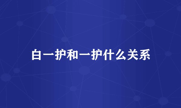 白一护和一护什么关系