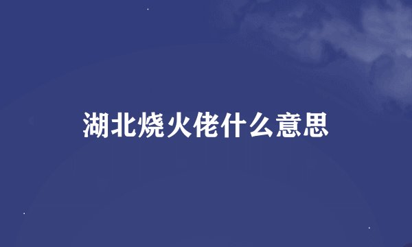 湖北烧火佬什么意思