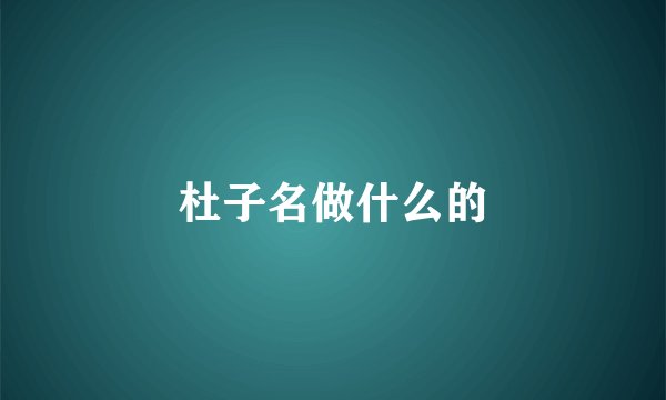 杜子名做什么的