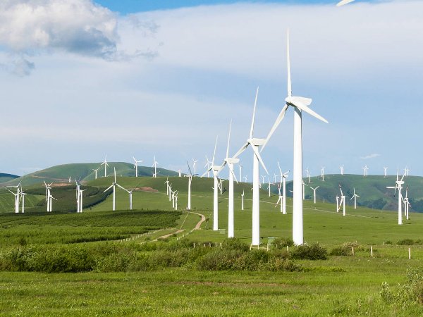 风头正劲是什么意思