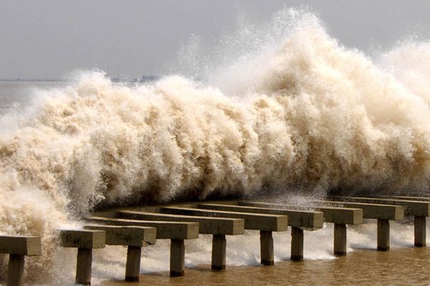 白洋潮的解释和译文