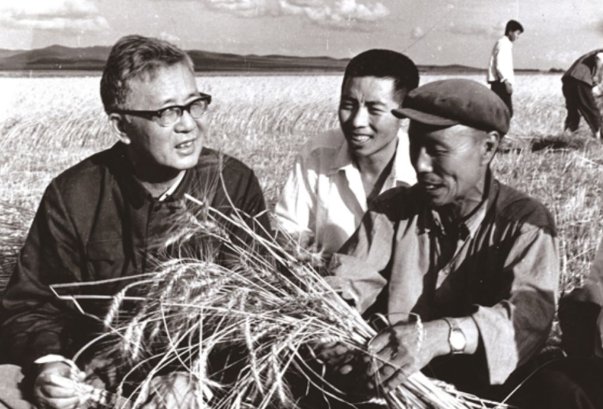 优选法是什么意思