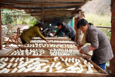 中国人过年吃年糕是为了纪念哪位历史名人