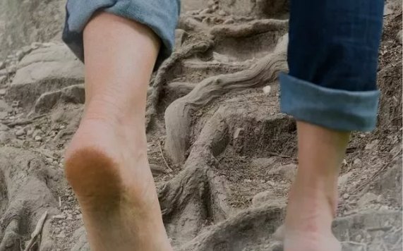 “白露身不露，寒露脚不露”，这句话是什么意思？