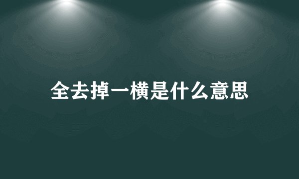全去掉一横是什么意思