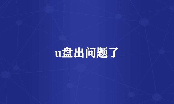 u盘出问题了