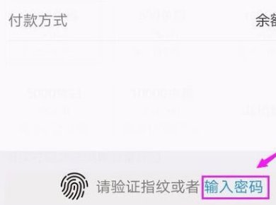 斗鱼TV鱼翅怎么免费获得？
