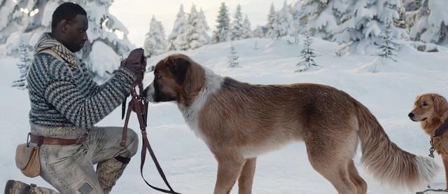 为什么巴克一开始会主动担当领头狗?