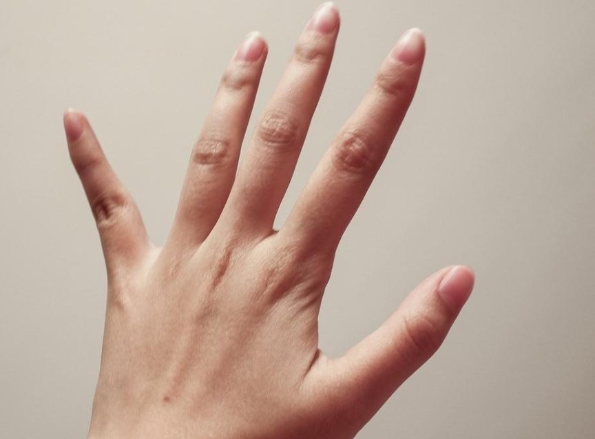 《五个手指头》儿歌歌词是什么？