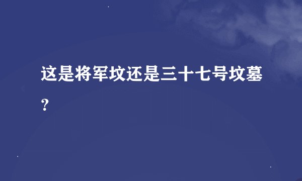 这是将军坟还是三十七号坟墓？
