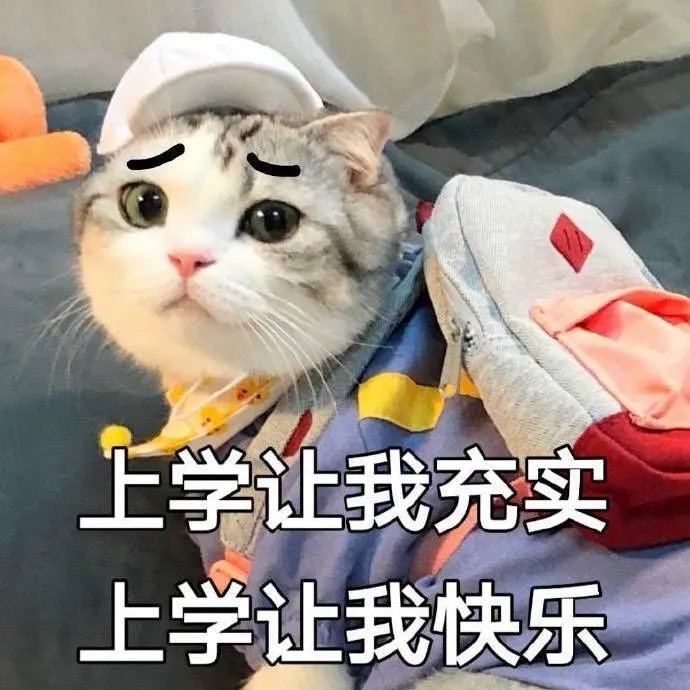 大学生活每天都在干什么？