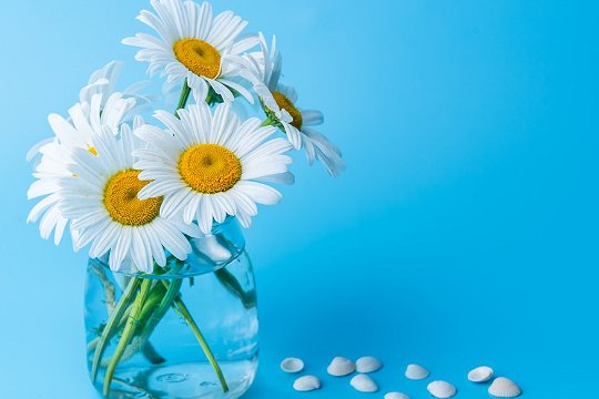 送老师花的禁忌