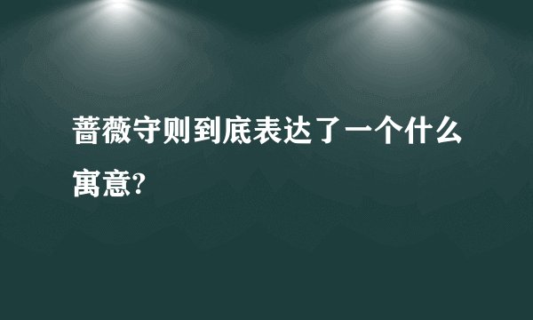 蔷薇守则到底表达了一个什么寓意?