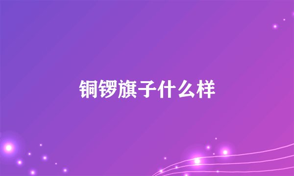 铜锣旗子什么样