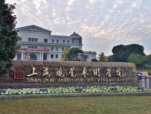 上海视觉艺术学院是几本呢？