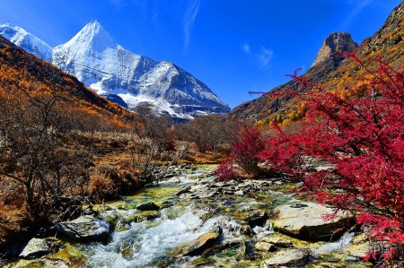 全国唯一没有疫情的城市