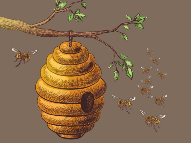 捅马蜂窝的正确方法