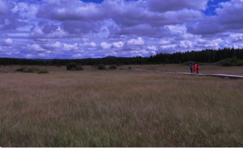 风起于青萍之末是贬义吗？