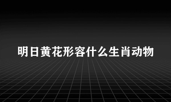 明日黄花形容什么生肖动物