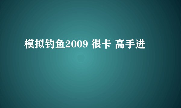 模拟钓鱼2009 很卡 高手进