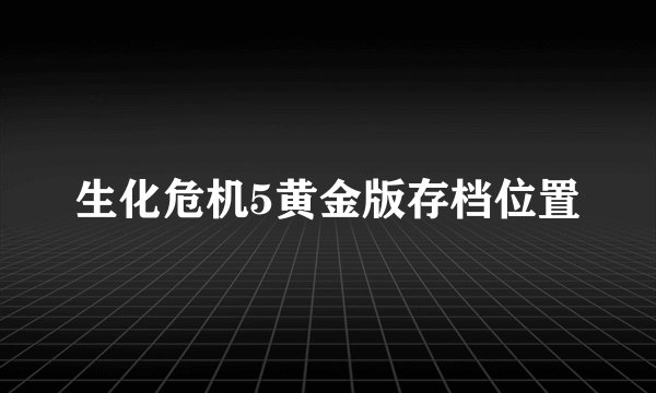 生化危机5黄金版存档位置