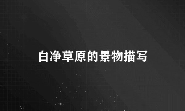 白净草原的景物描写