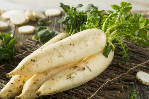哪种白萝卜的口感更好