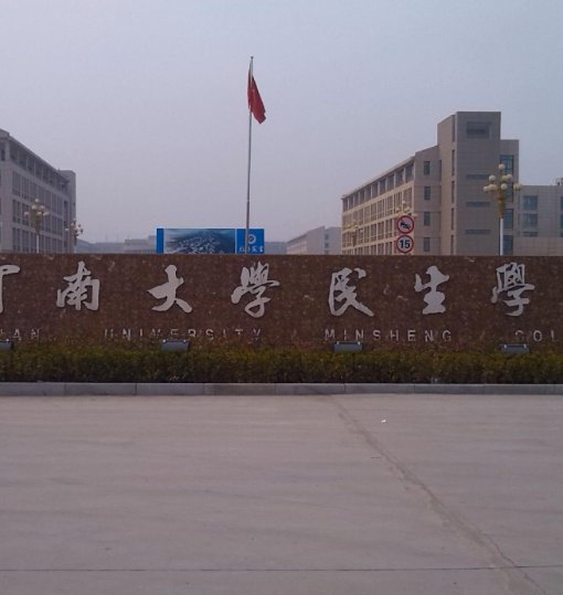 河南大学民生学院是几本院校啊？