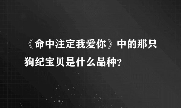 《命中注定我爱你》中的那只狗纪宝贝是什么品种？