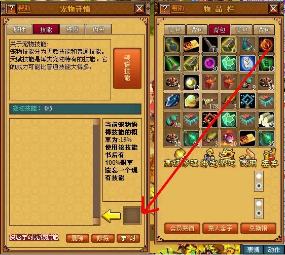 天书奇谈宠物小熊怎样学技能