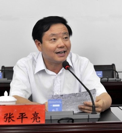 张平亮的介绍