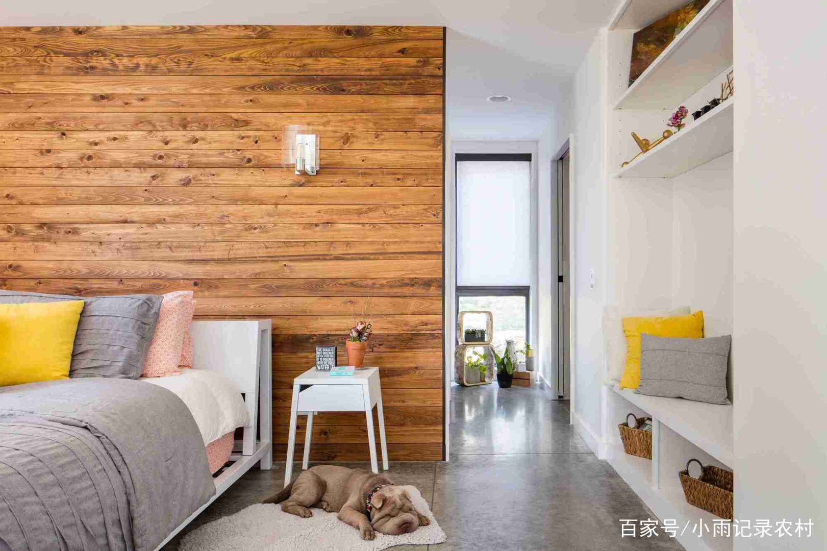 为什么用黄色来装扮房间,会有一些年轻的感觉?