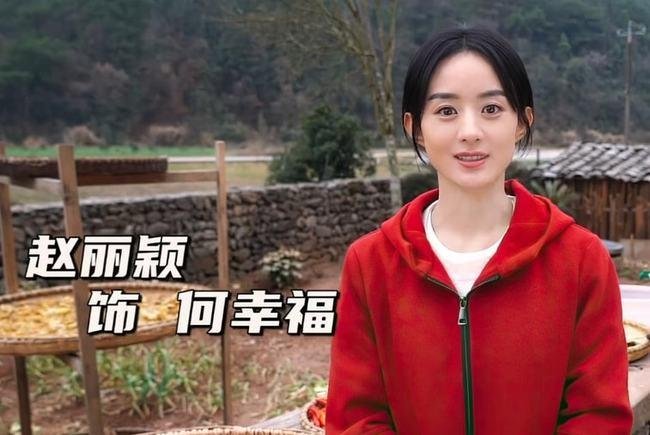 《幸福到万家》无缘央视播出，真实原因是什么？