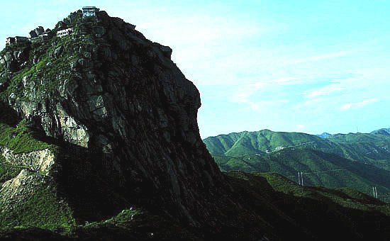 仰天巨佛的简介