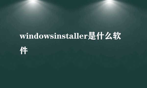 windowsinstaller是什么软件