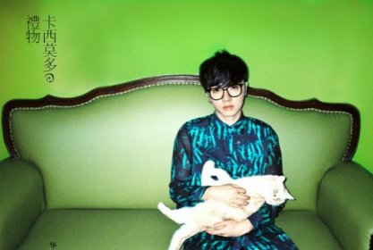 华晨宇真名叫什么