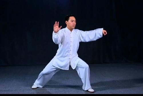 太极拳12式招式的名称 要12式的 急