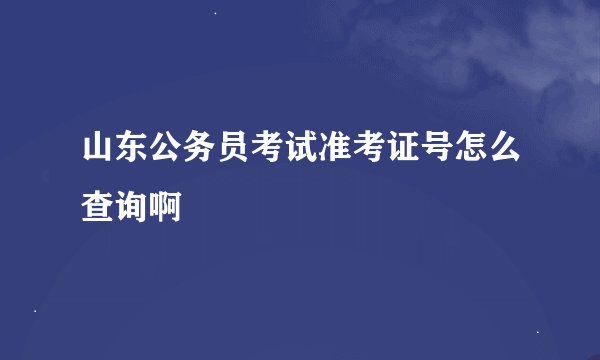 山东公务员考试准考证号怎么查询啊