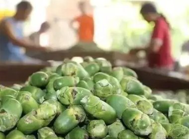 网友建议禁售槟榔，广东官方回应：已转相关部门阅研，是否应该禁售槟榔？