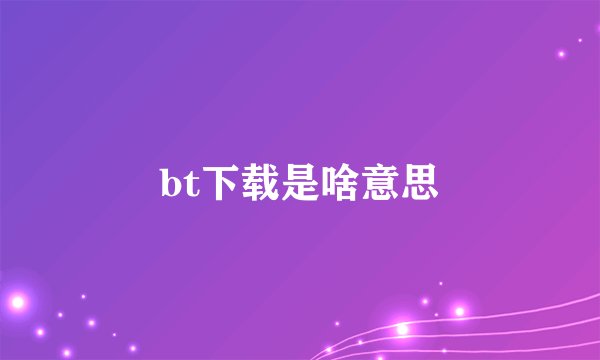 bt下载是啥意思