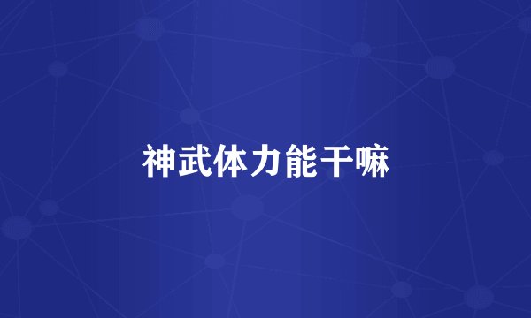 神武体力能干嘛