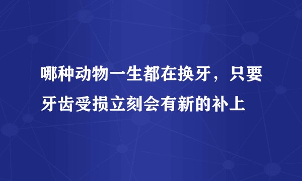 哪种动物一生都在换牙，只要牙齿受损立刻会有新的补上