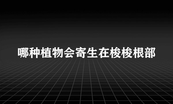 哪种植物会寄生在梭梭根部