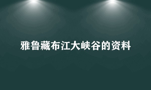 雅鲁藏布江大峡谷的资料