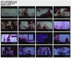 苏捷什卡战役的占领要地