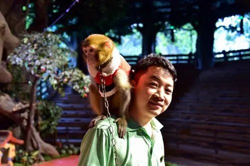 南京一动物园的猴子会划木筏成“网红”，它是“自学成才”的吗？