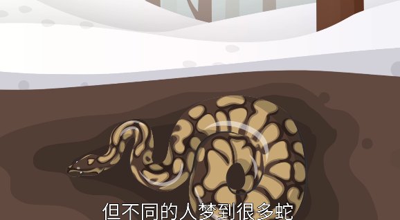 梦到各种颜色的蛇是什么预兆梦见各种颜色的蛇的蛇的吉凶