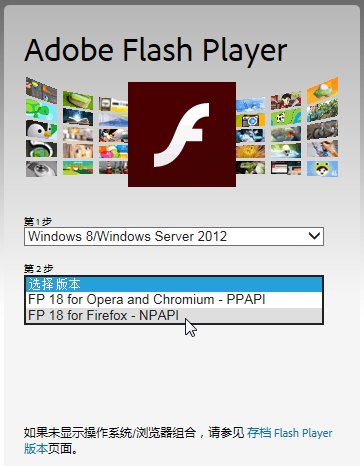 windows8哪个插件是flash player