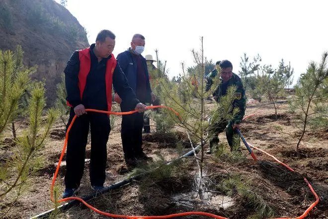 2022全国植树造林适宜范围地图已出炉，南北方哪里适合开展植树造林？